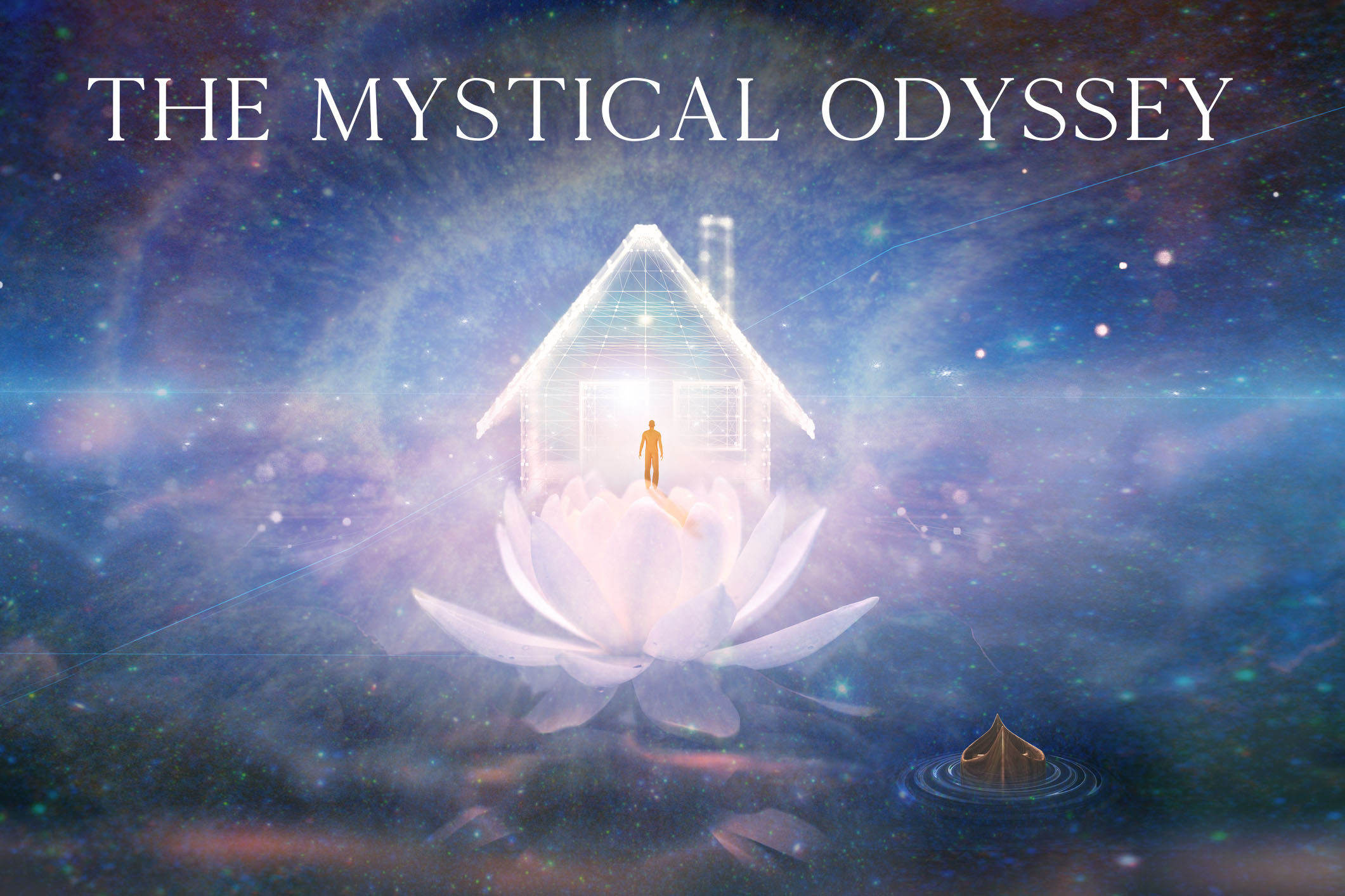 lotus flower in water with sunshine